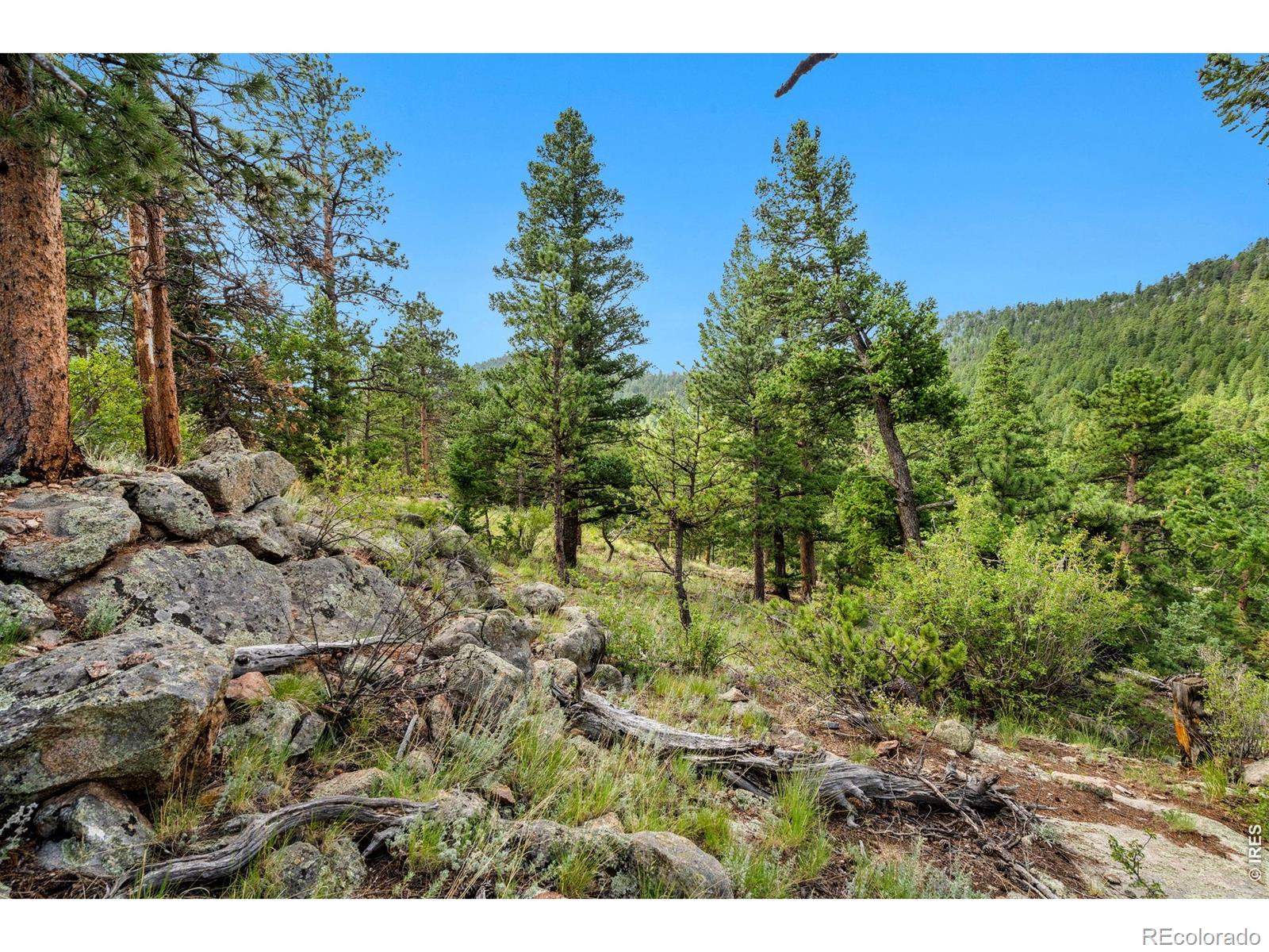 15 Estes Valley View Court Estes Park CO 80517