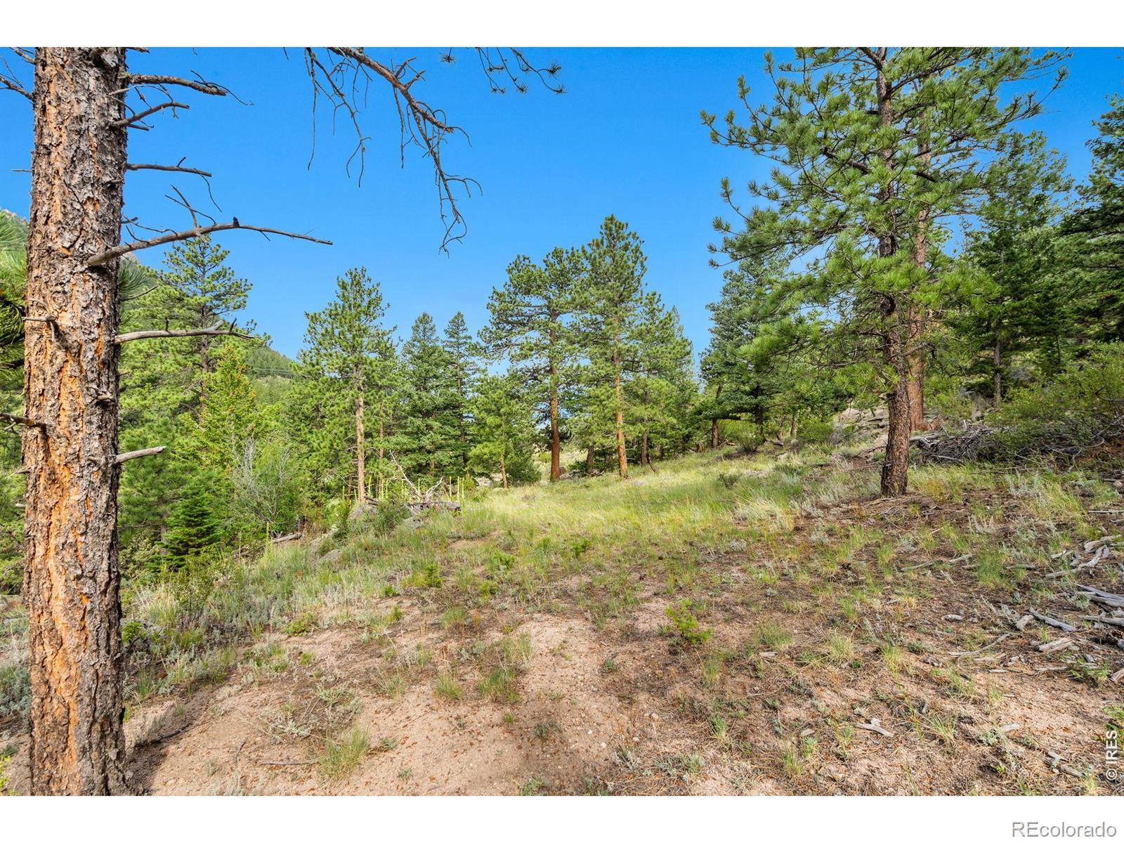 15 Estes Valley View Court Estes Park CO 80517