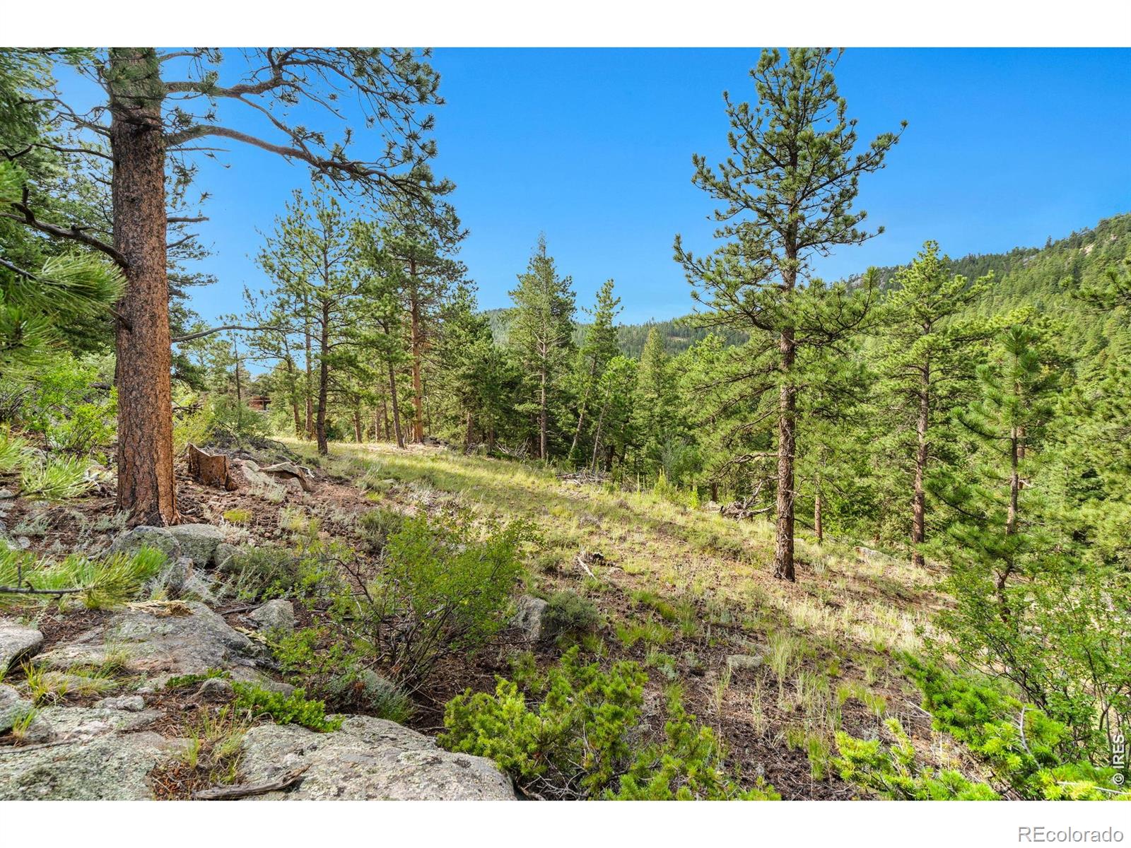 15 Estes Valley View Court Estes Park CO 80517