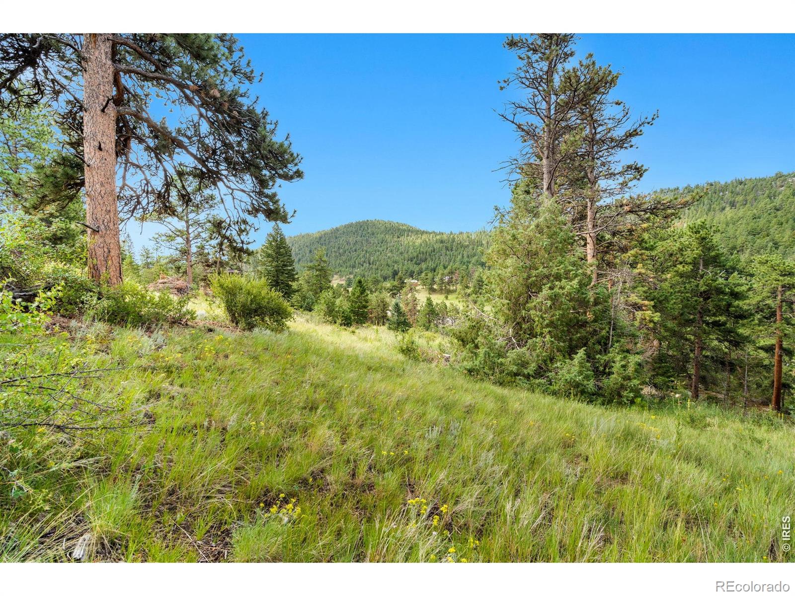 15 Estes Valley View Court Estes Park CO 80517