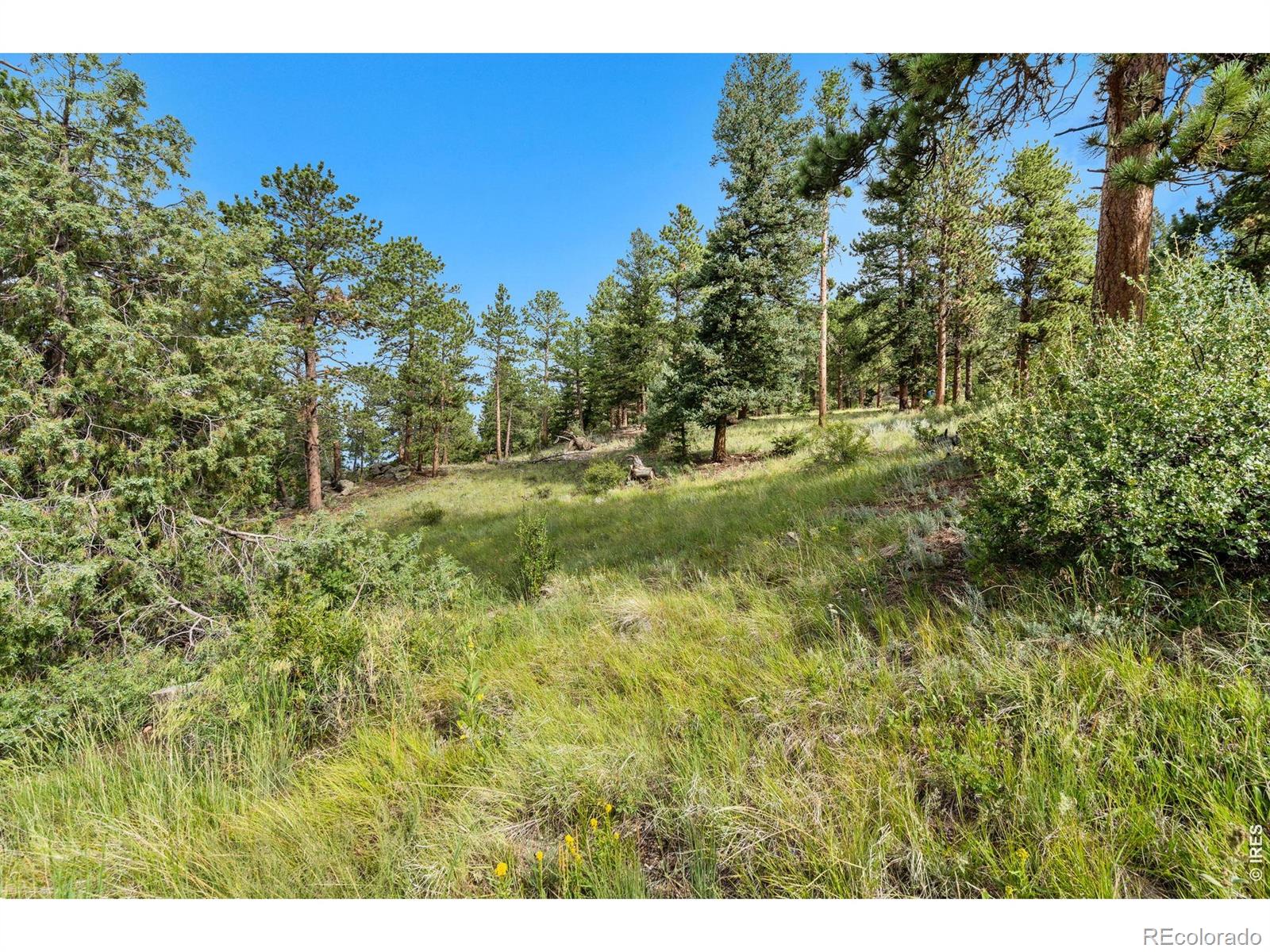 15 Estes Valley View Court Estes Park CO 80517