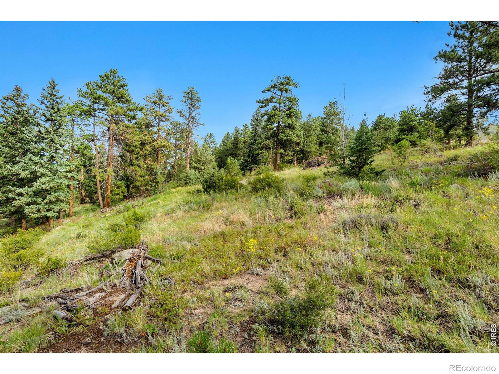 15 Estes Valley View Court Estes Park CO 80517