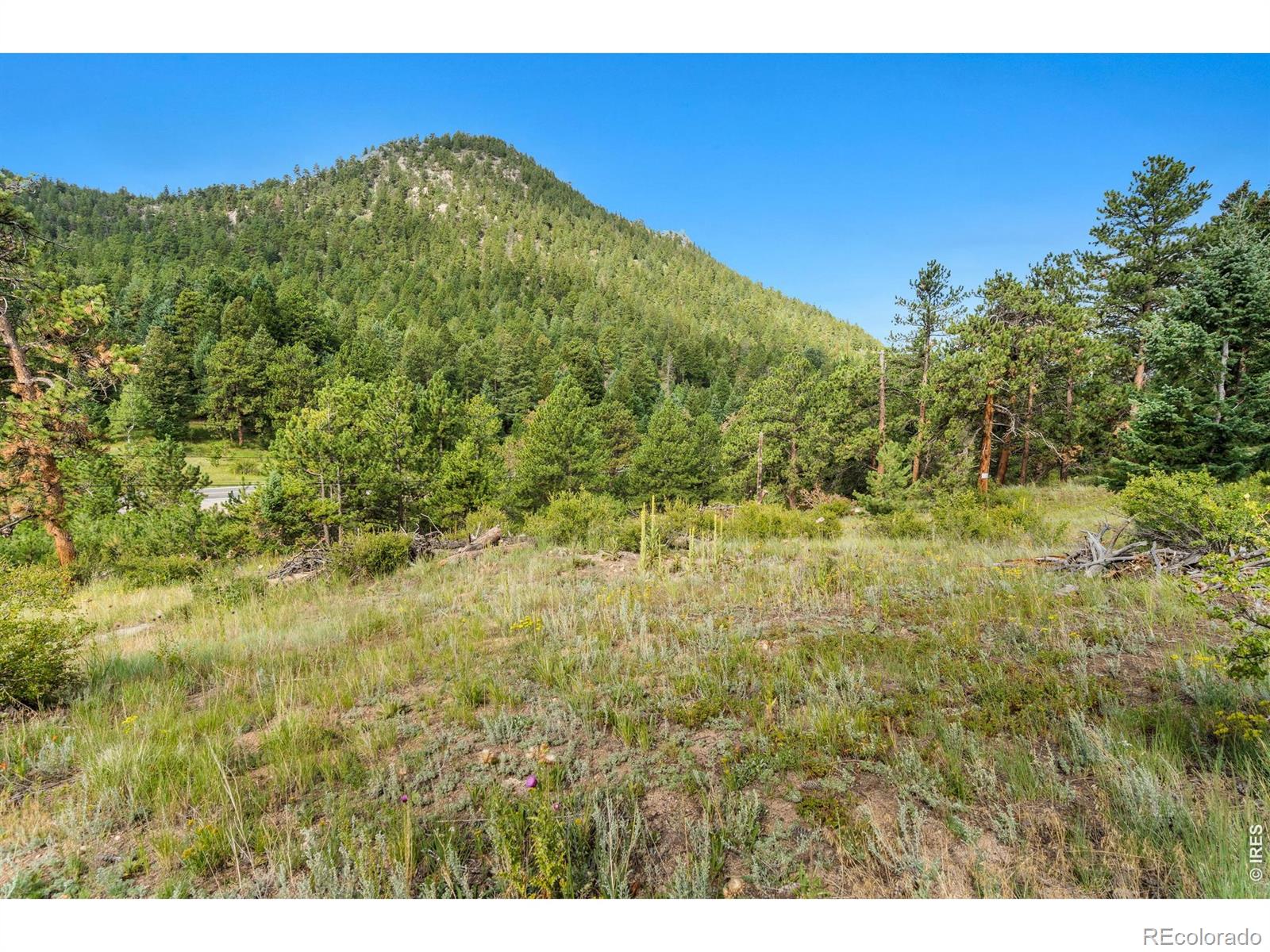 15 Estes Valley View Court Estes Park CO 80517