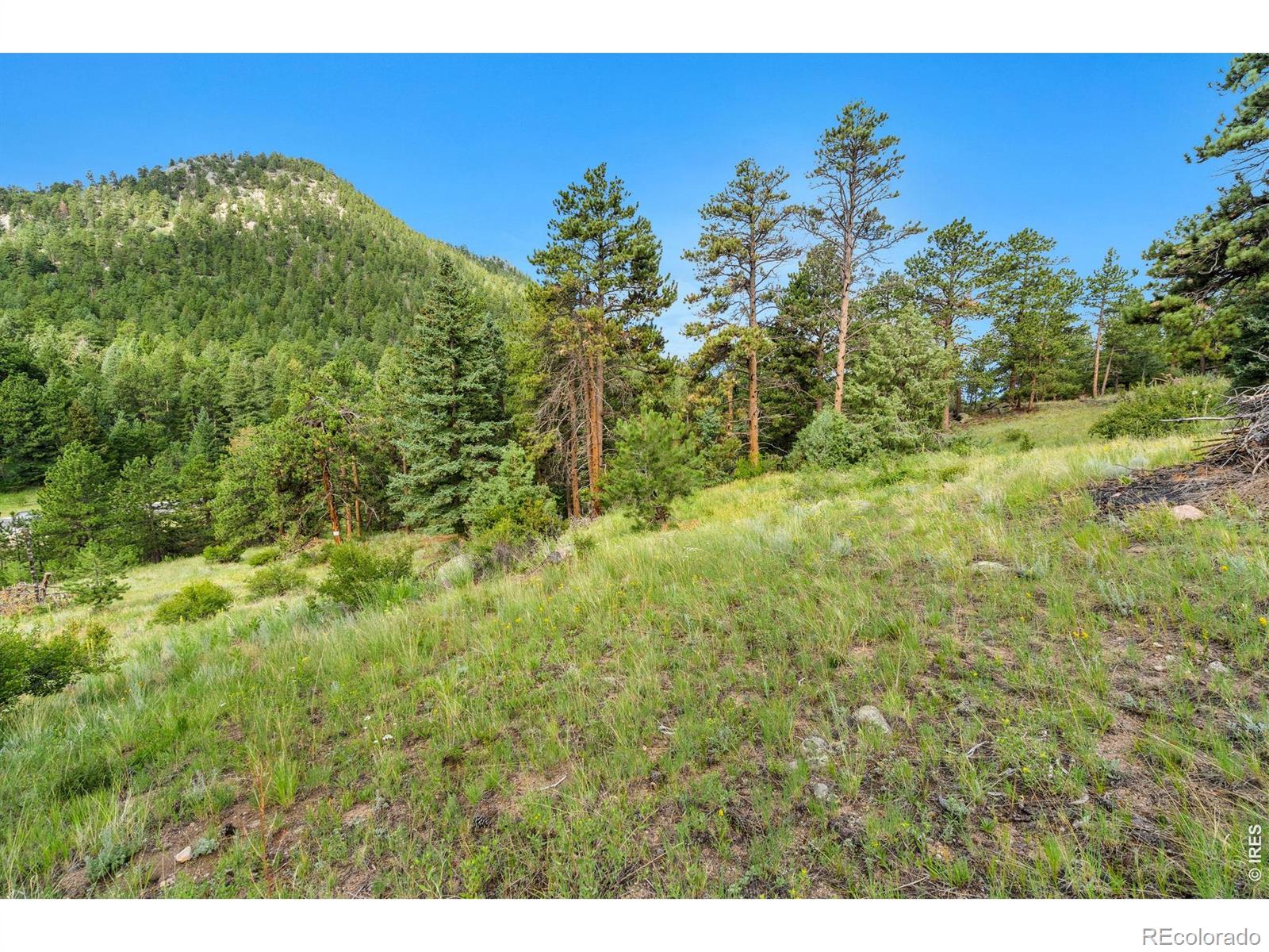 15 Estes Valley View Court Estes Park CO 80517