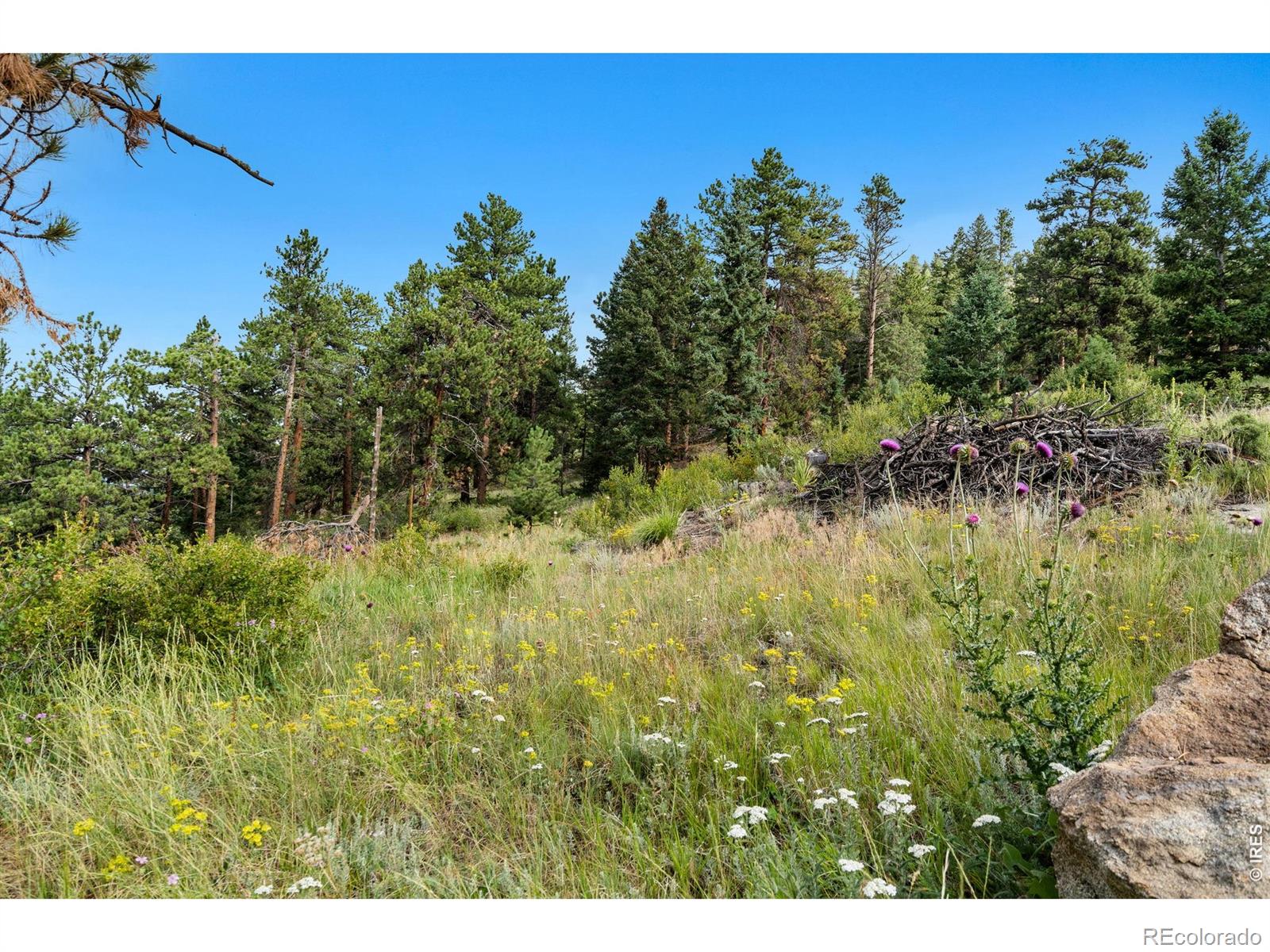 15 Estes Valley View Court Estes Park CO 80517
