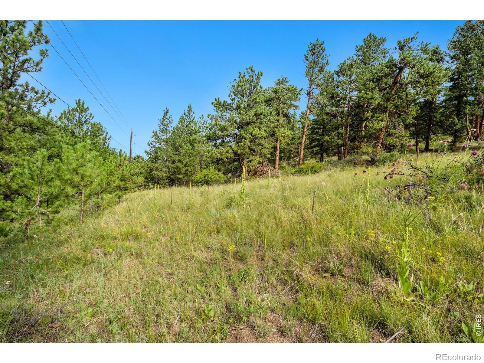 15 Estes Valley View Court Estes Park CO 80517
