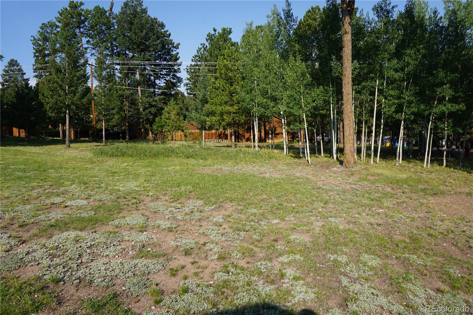 W Bowman Avenue Woodland Park CO 80863