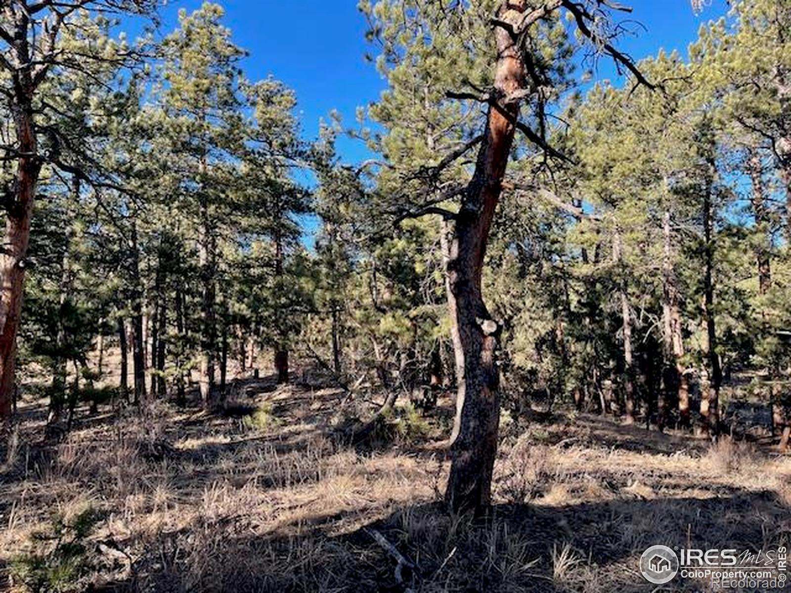 0 Pine Drive Lyons CO 80540