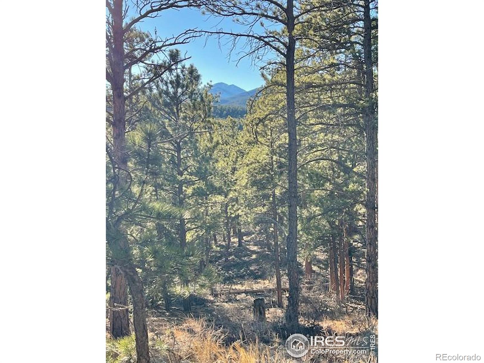 0 Pine Drive Lyons CO 80540