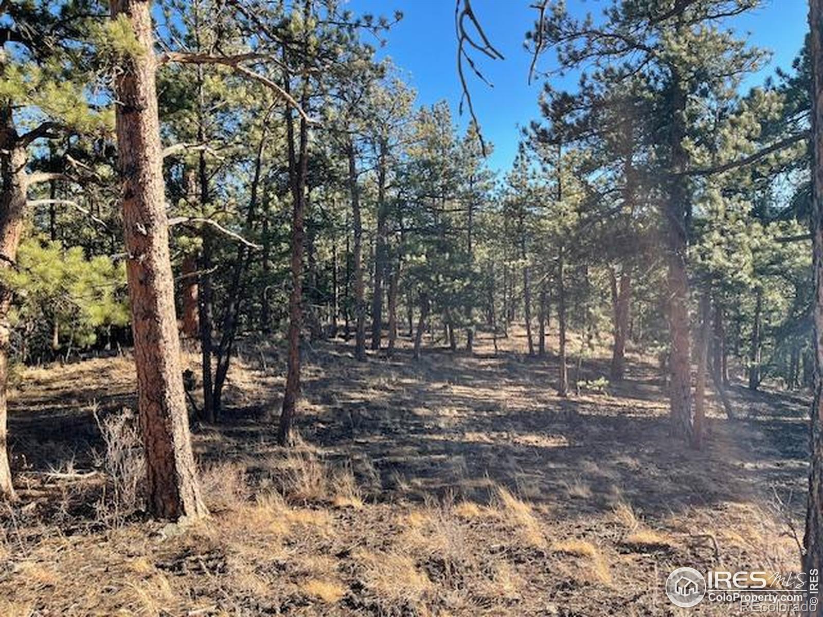 0 Pine Drive Lyons CO 80540