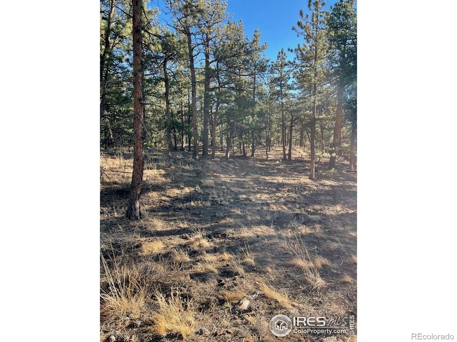 0 Pine Drive Lyons CO 80540
