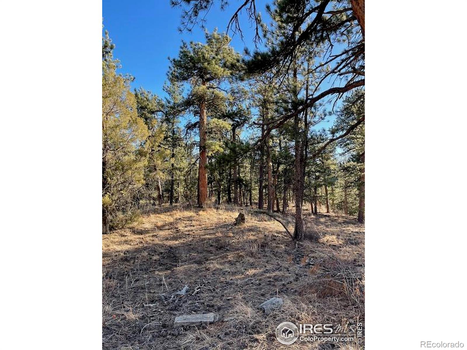 0 Pine Drive Lyons CO 80540
