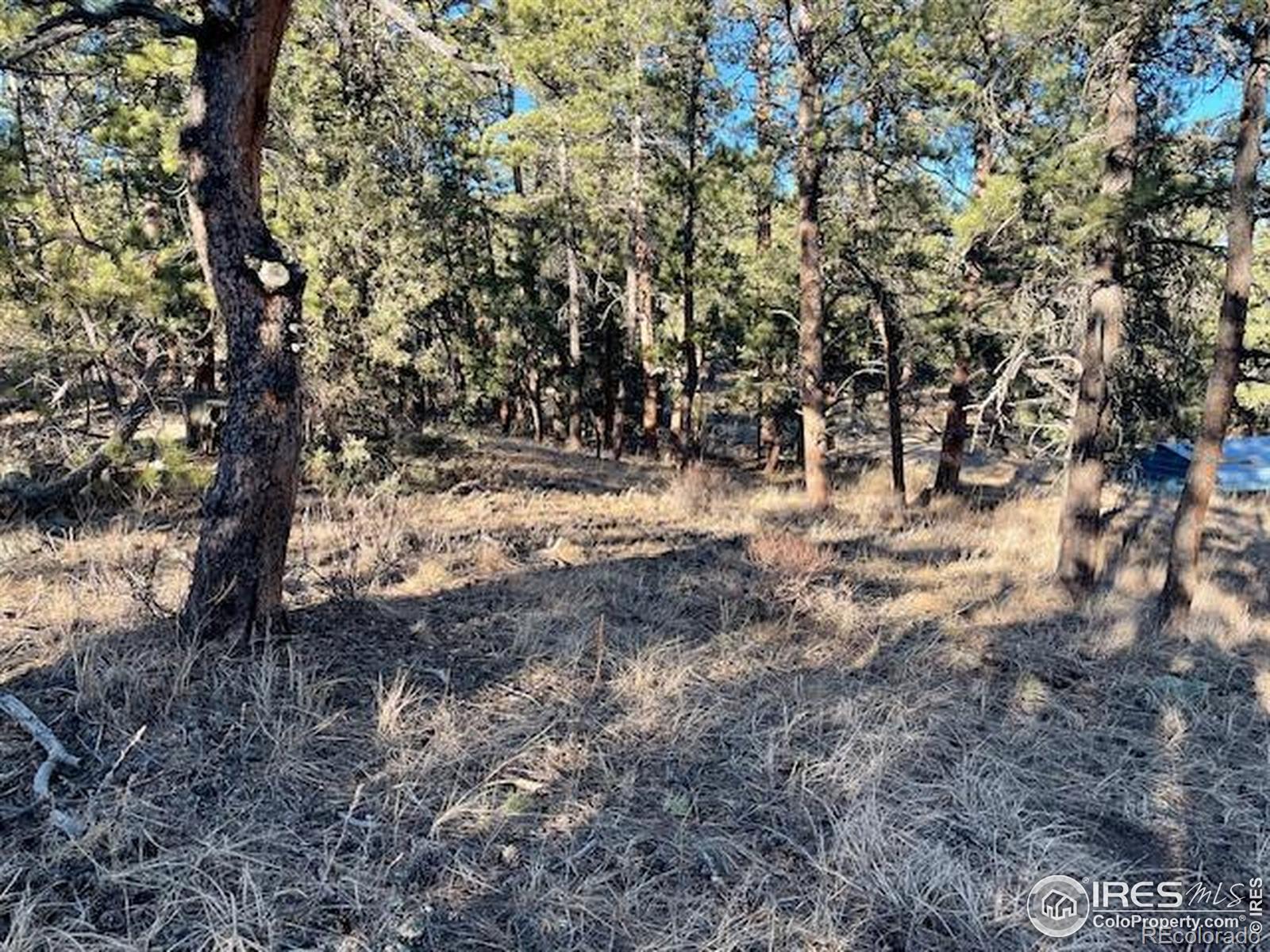 0 Pine Drive Lyons CO 80540