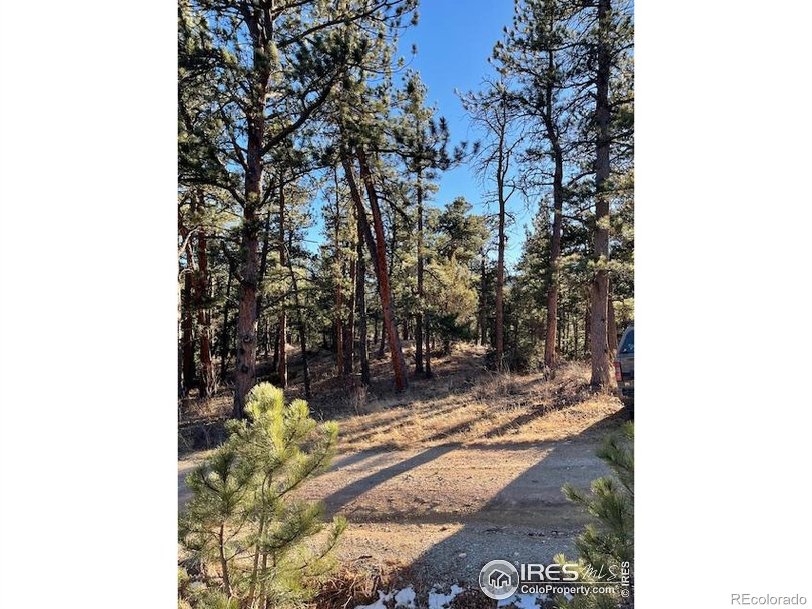 0 Pine Drive Lyons CO 80540