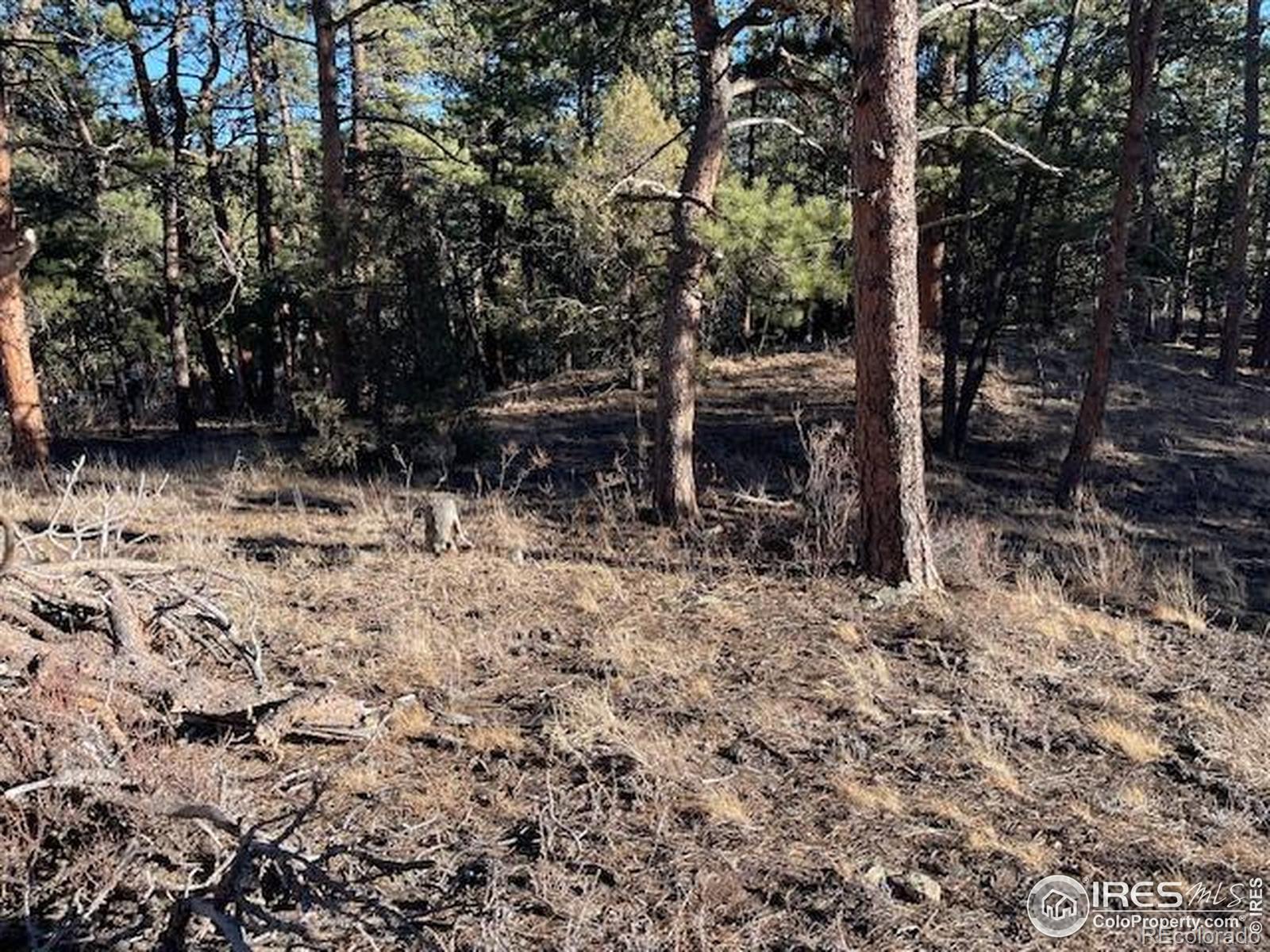 0 Pine Drive Lyons CO 80540