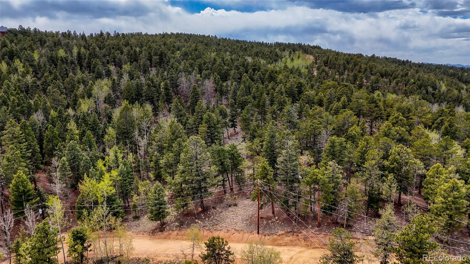 259 Potlatch Trail Woodland Park CO 80863