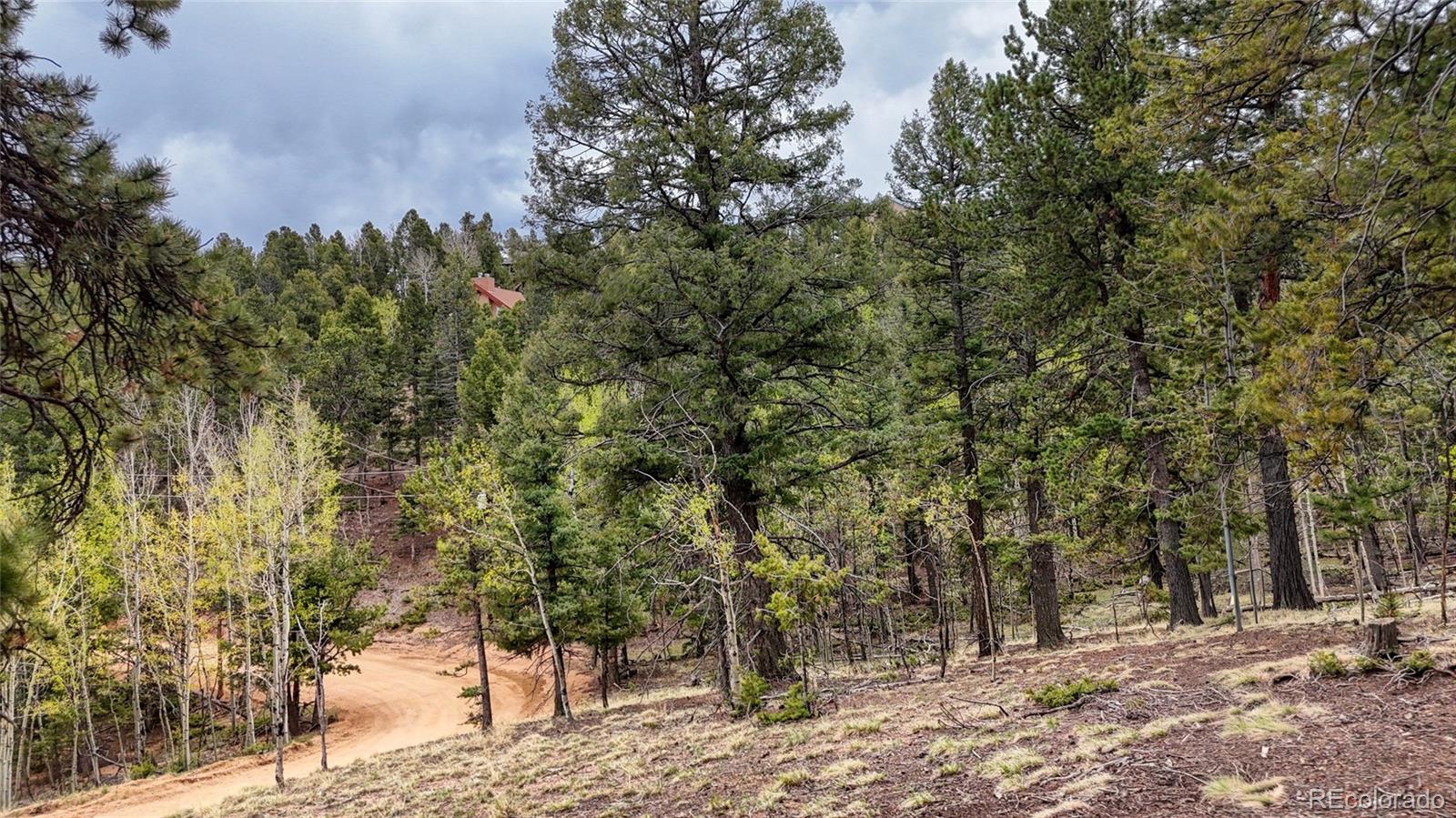 259 Potlatch Trail Woodland Park CO 80863