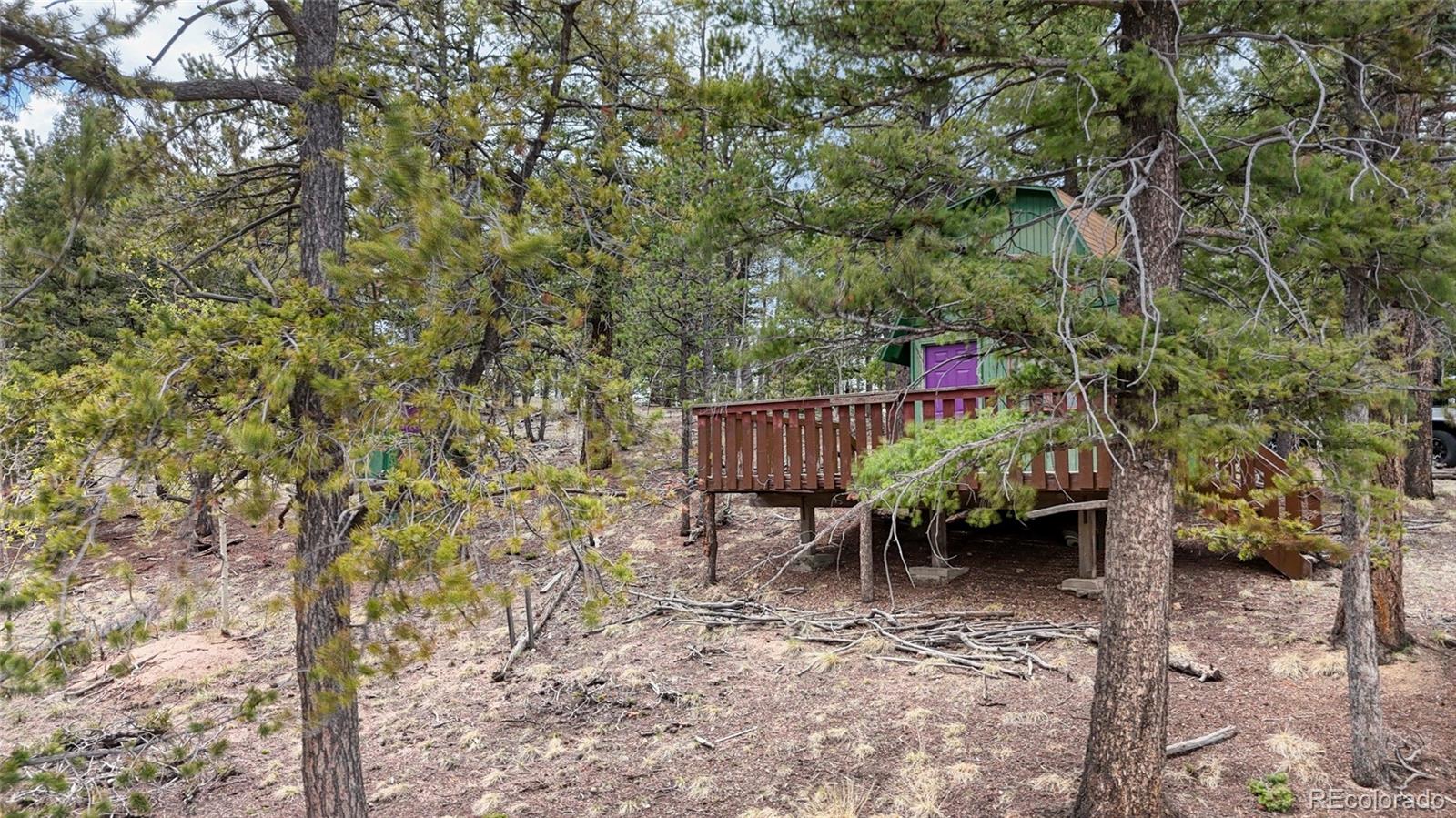 259 Potlatch Trail Woodland Park CO 80863