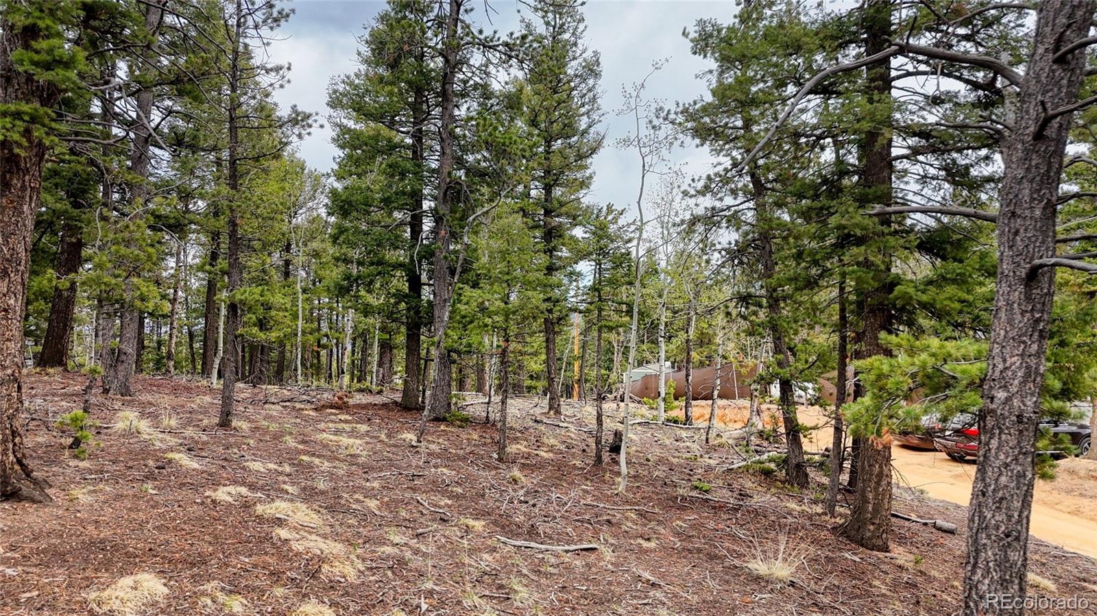 259 Potlatch Trail Woodland Park CO 80863