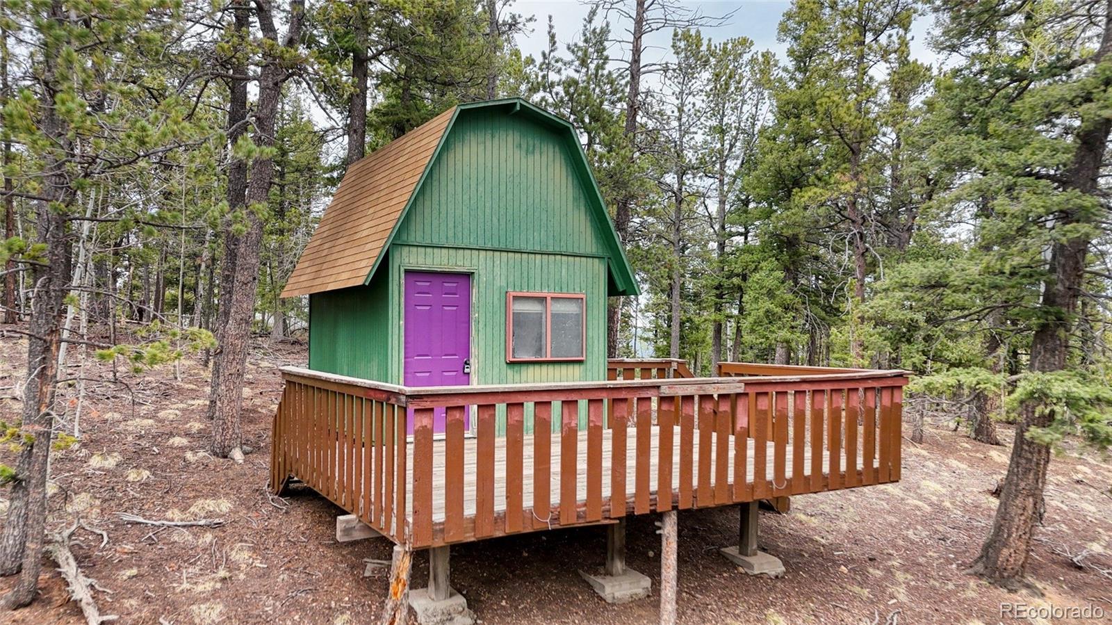259 Potlatch Trail Woodland Park CO 80863