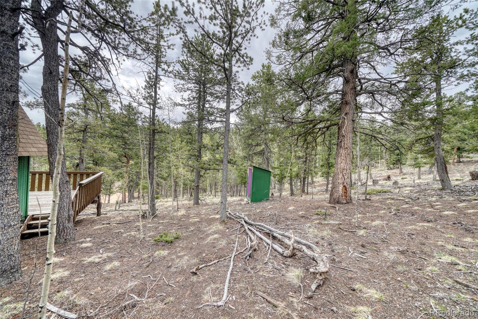 259 Potlatch Trail Woodland Park CO 80863