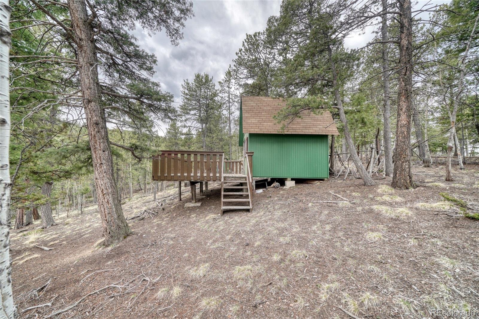 259 Potlatch Trail Woodland Park CO 80863