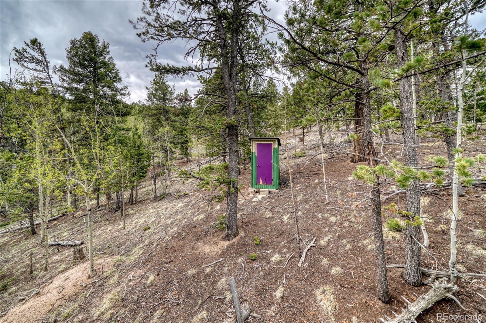 259 Potlatch Trail Woodland Park CO 80863