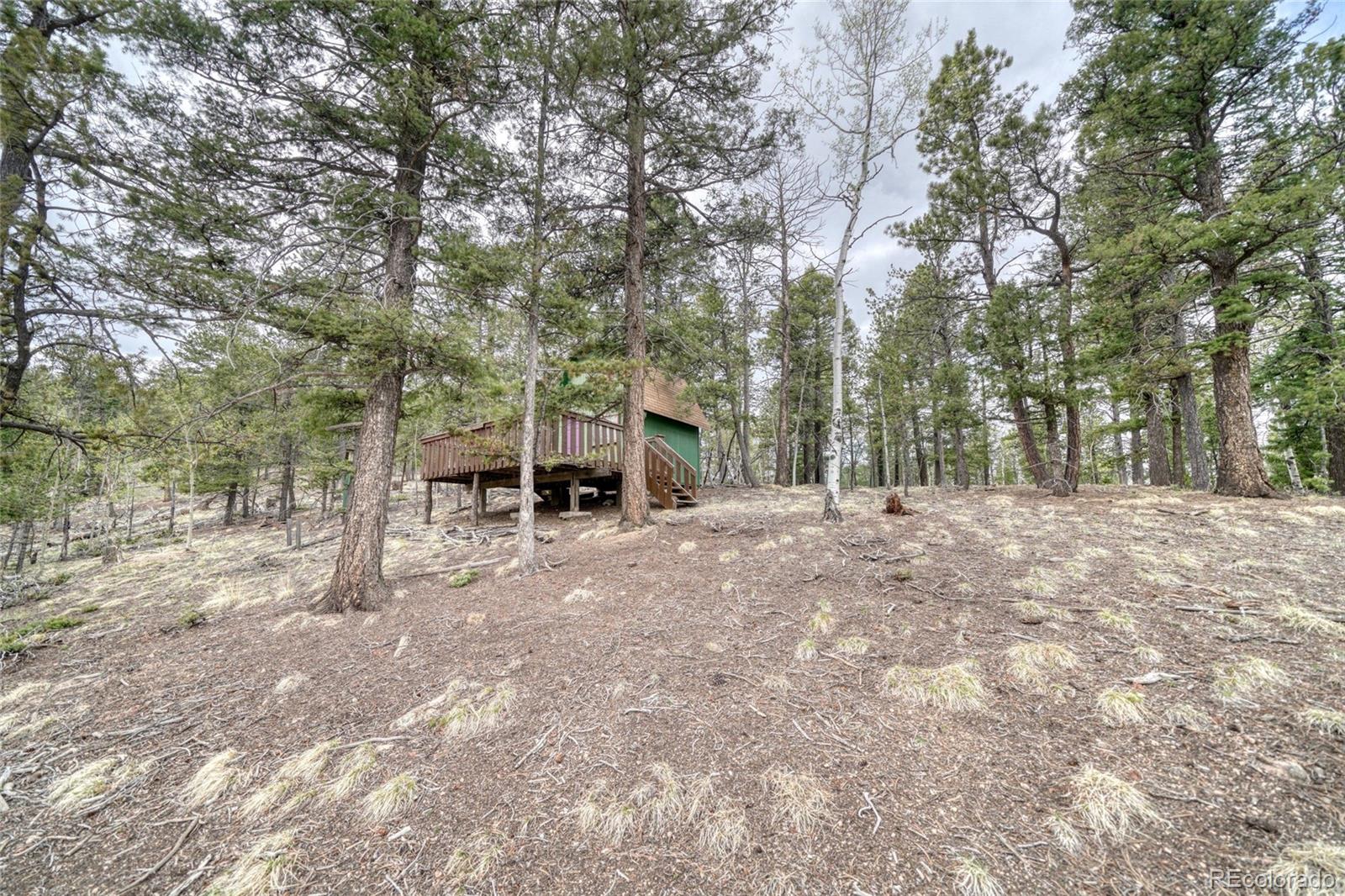 259 Potlatch Trail Woodland Park CO 80863