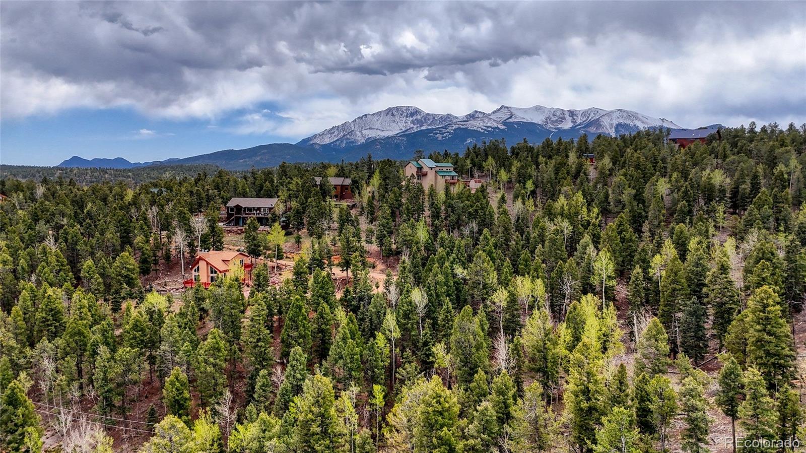 259 Potlatch Trail Woodland Park CO 80863