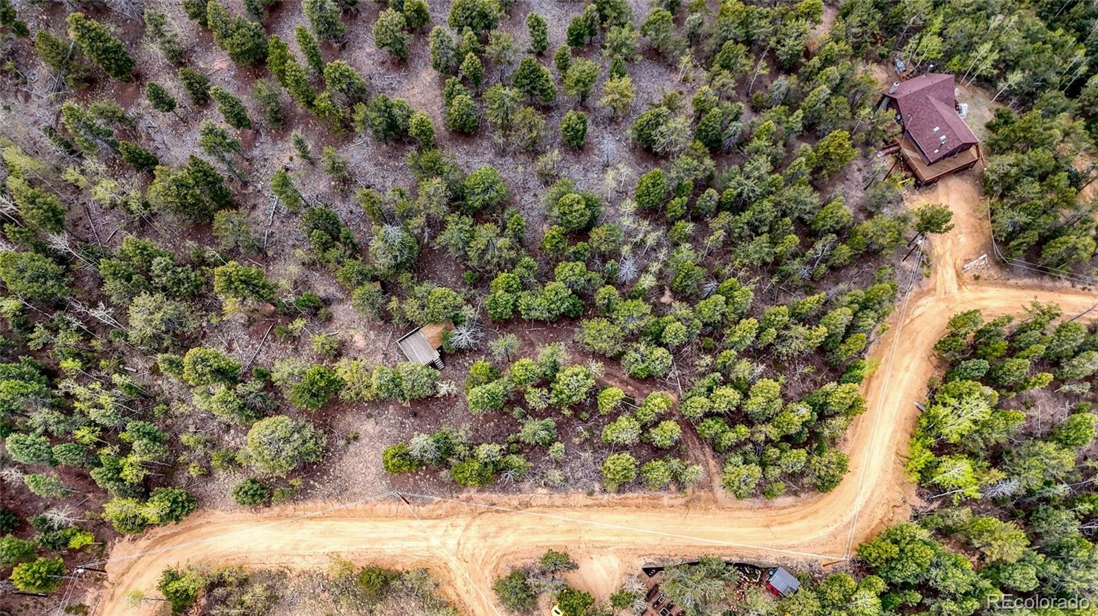 259 Potlatch Trail Woodland Park CO 80863