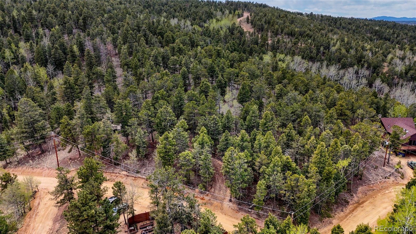 259 Potlatch Trail Woodland Park CO 80863
