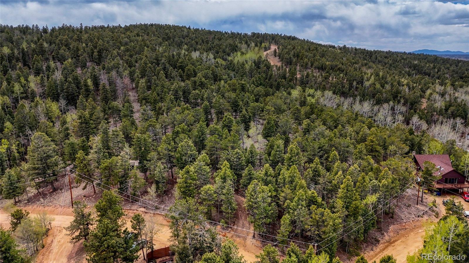 259 Potlatch Trail Woodland Park CO 80863