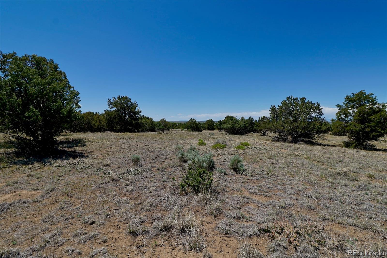1563 Wagon Wheel Road Crestone CO 81131
