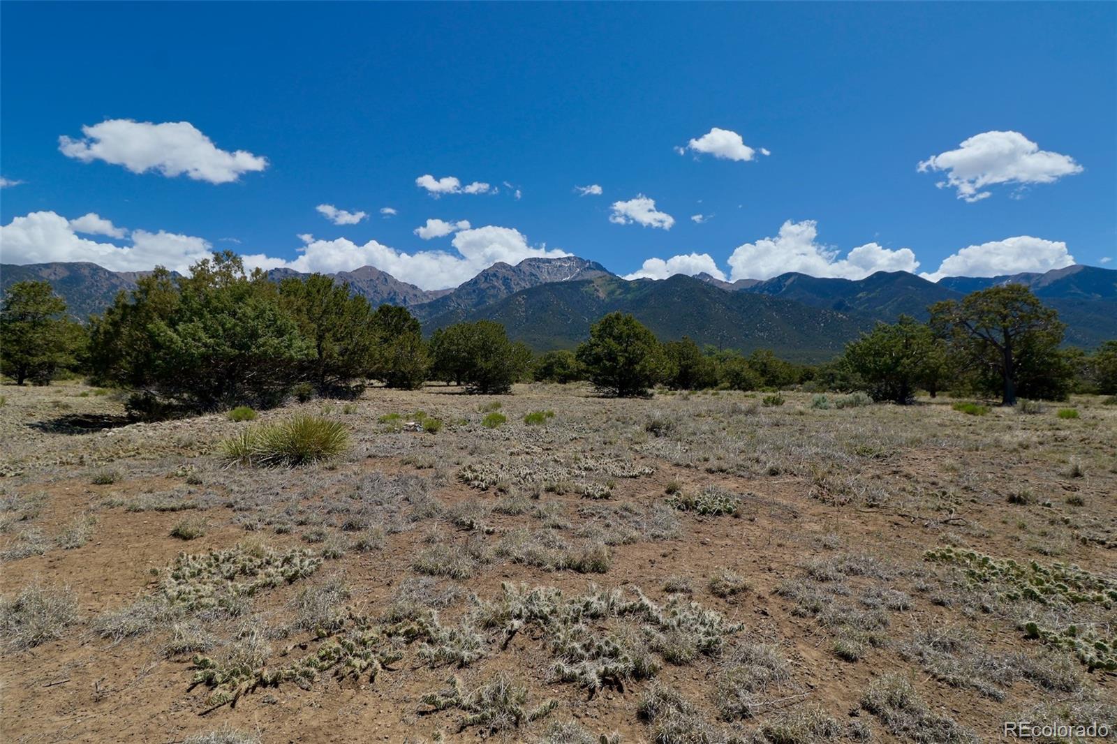 1563 Wagon Wheel Road Crestone CO 81131