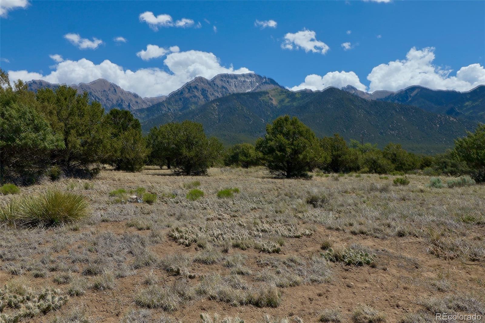 1563 Wagon Wheel Road Crestone CO 81131