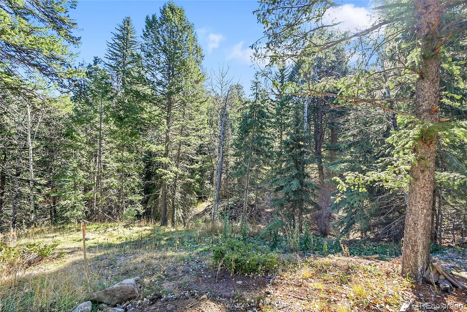 28176 Alabraska Lane Evergreen CO 80439