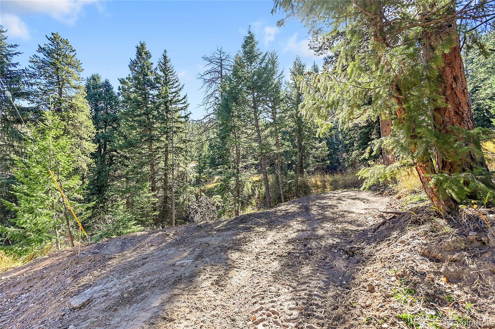 28176 Alabraska Lane Evergreen CO 80439