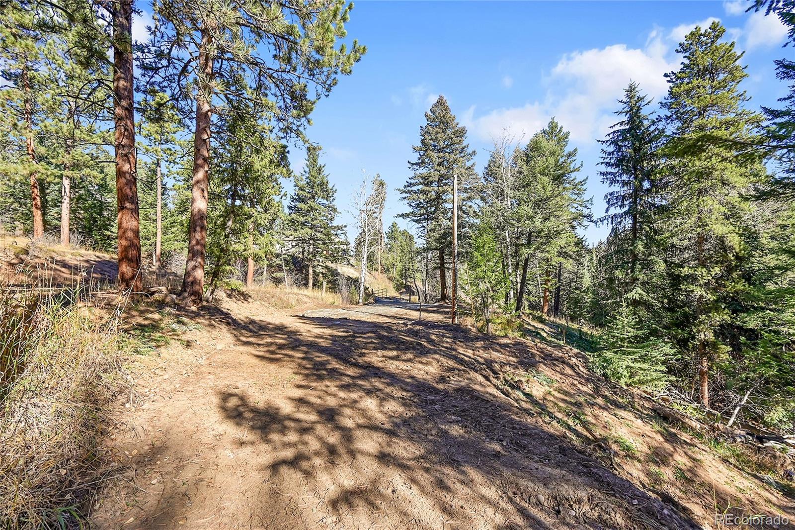 28176 Alabraska Lane Evergreen CO 80439