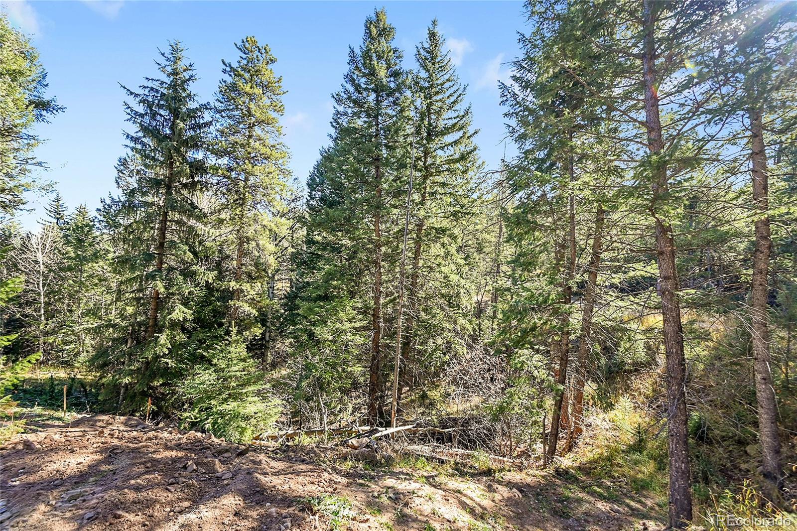 28176 Alabraska Lane Evergreen CO 80439