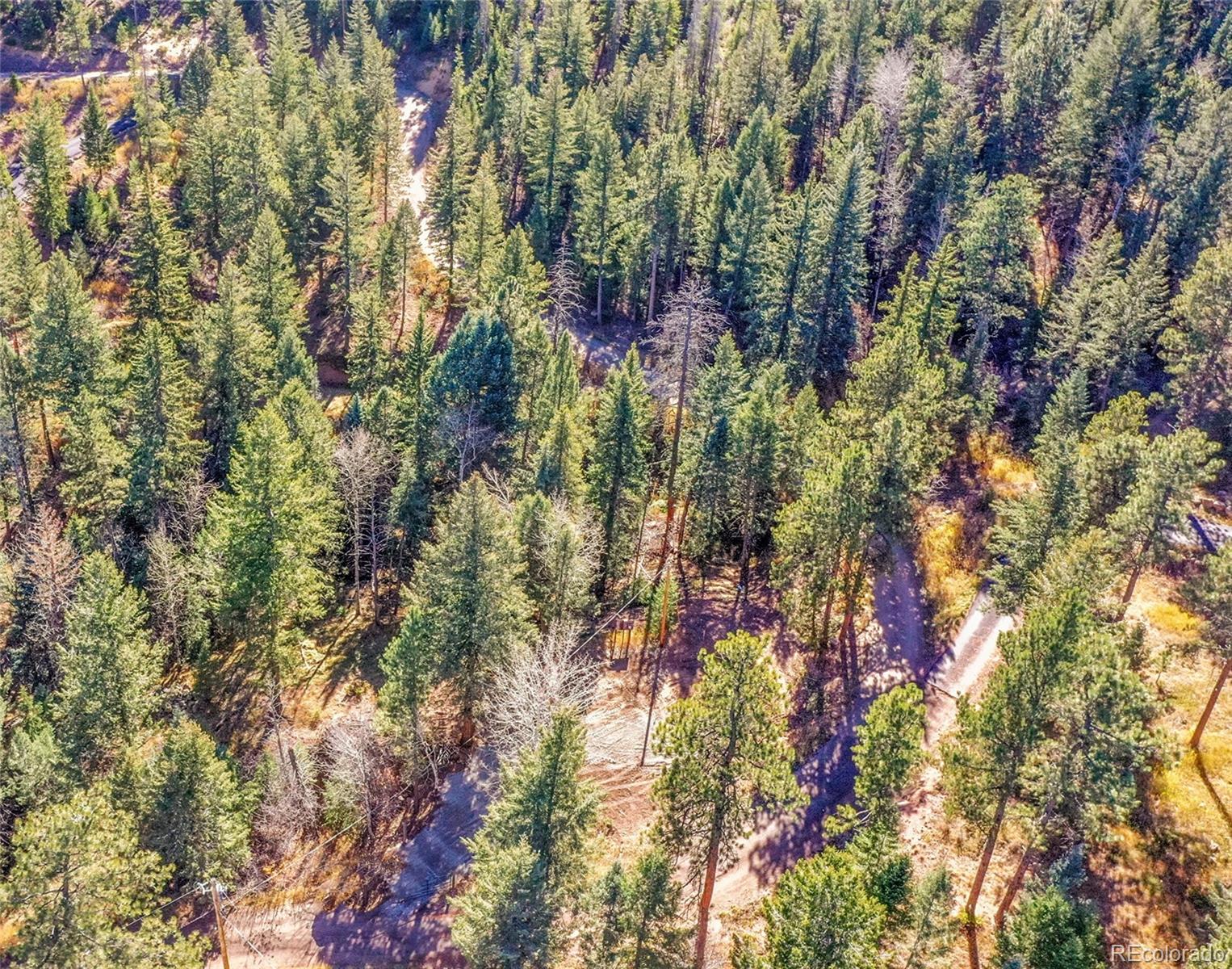 28176 Alabraska Lane Evergreen CO 80439