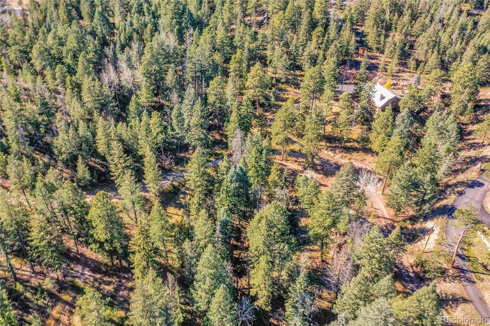 28176 Alabraska Lane Evergreen CO 80439