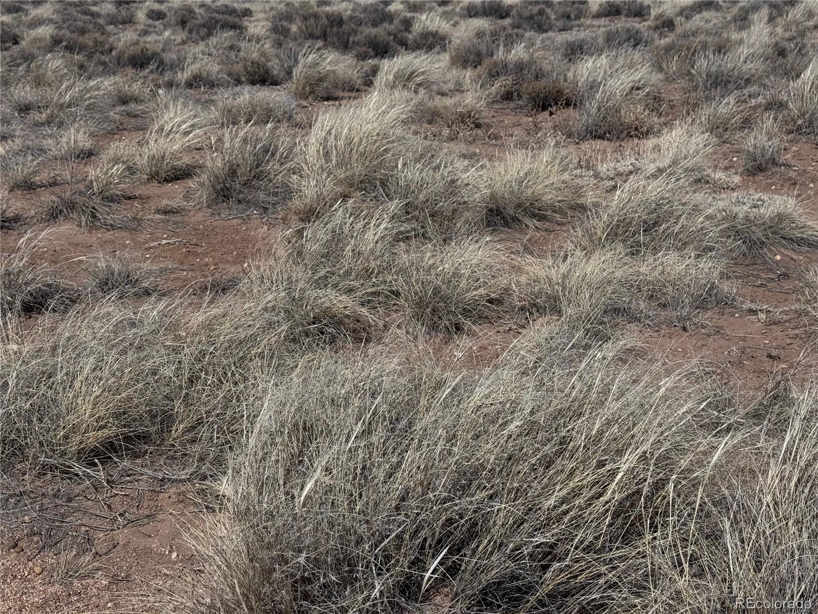Lot 3 Ana Road San Luis CO 81152