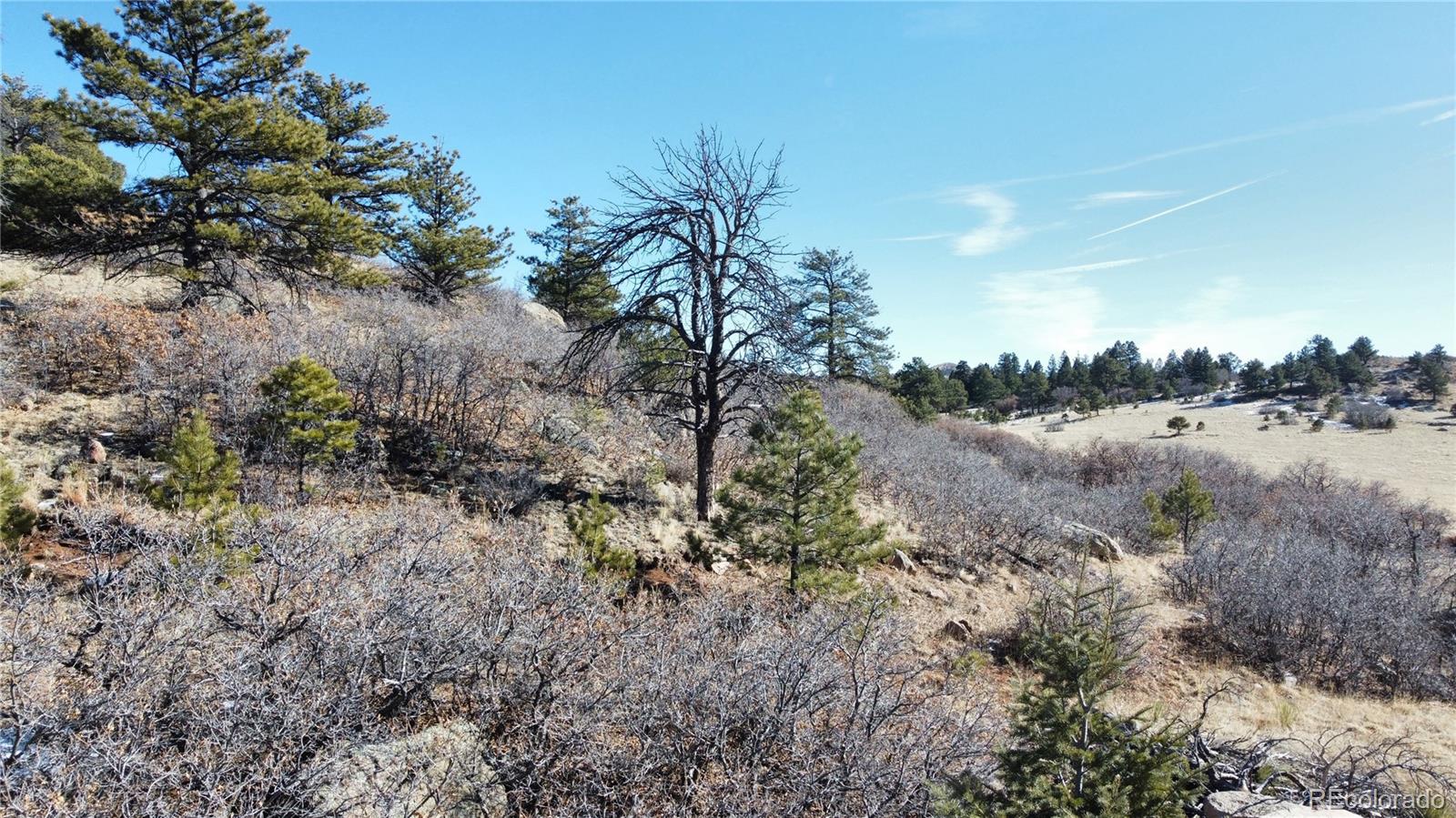 Cr 21 Canon City CO 81212