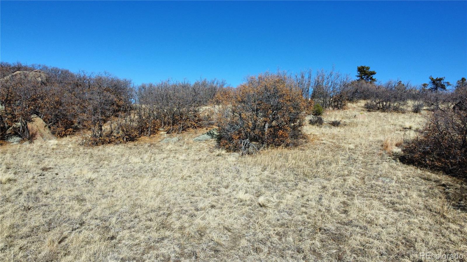 Cr 21 Canon City CO 81212