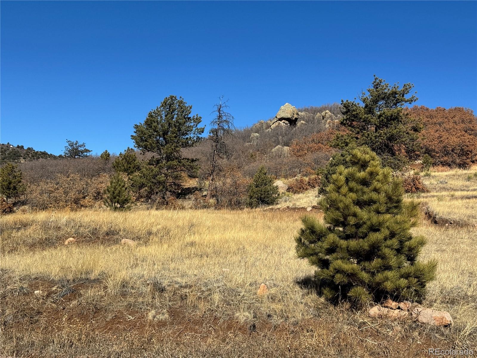 Cr 21 Canon City CO 81212