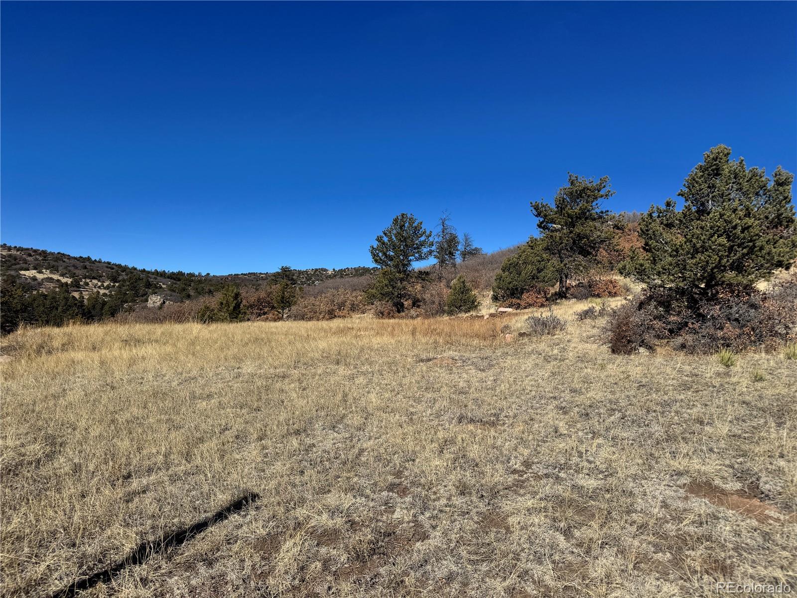 Cr 21 Canon City CO 81212