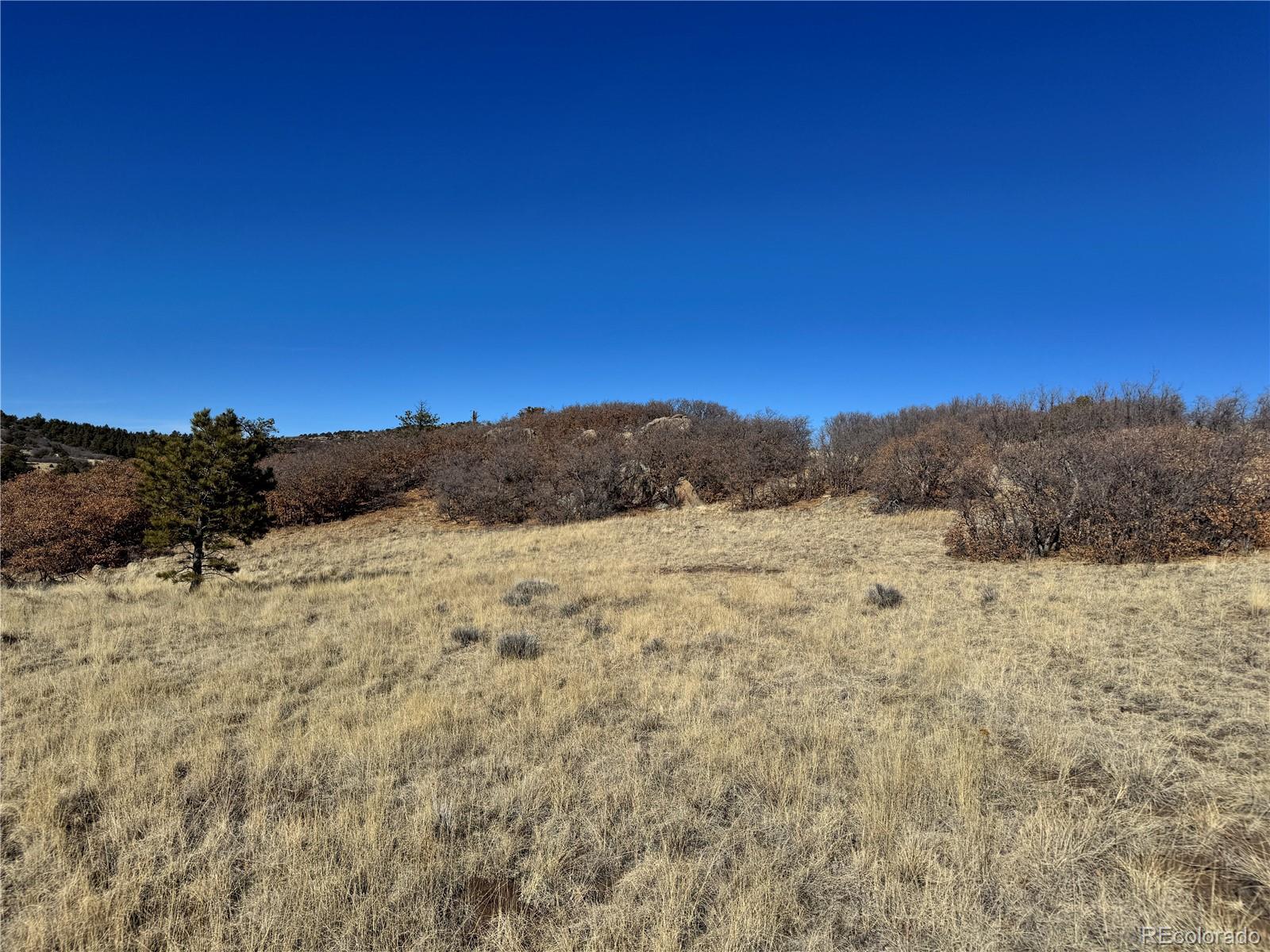 Cr 21 Canon City CO 81212