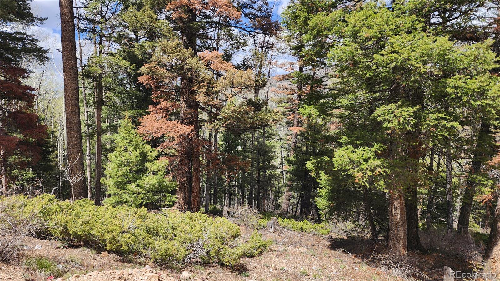 6338 Aragon Road San Luis CO 81152