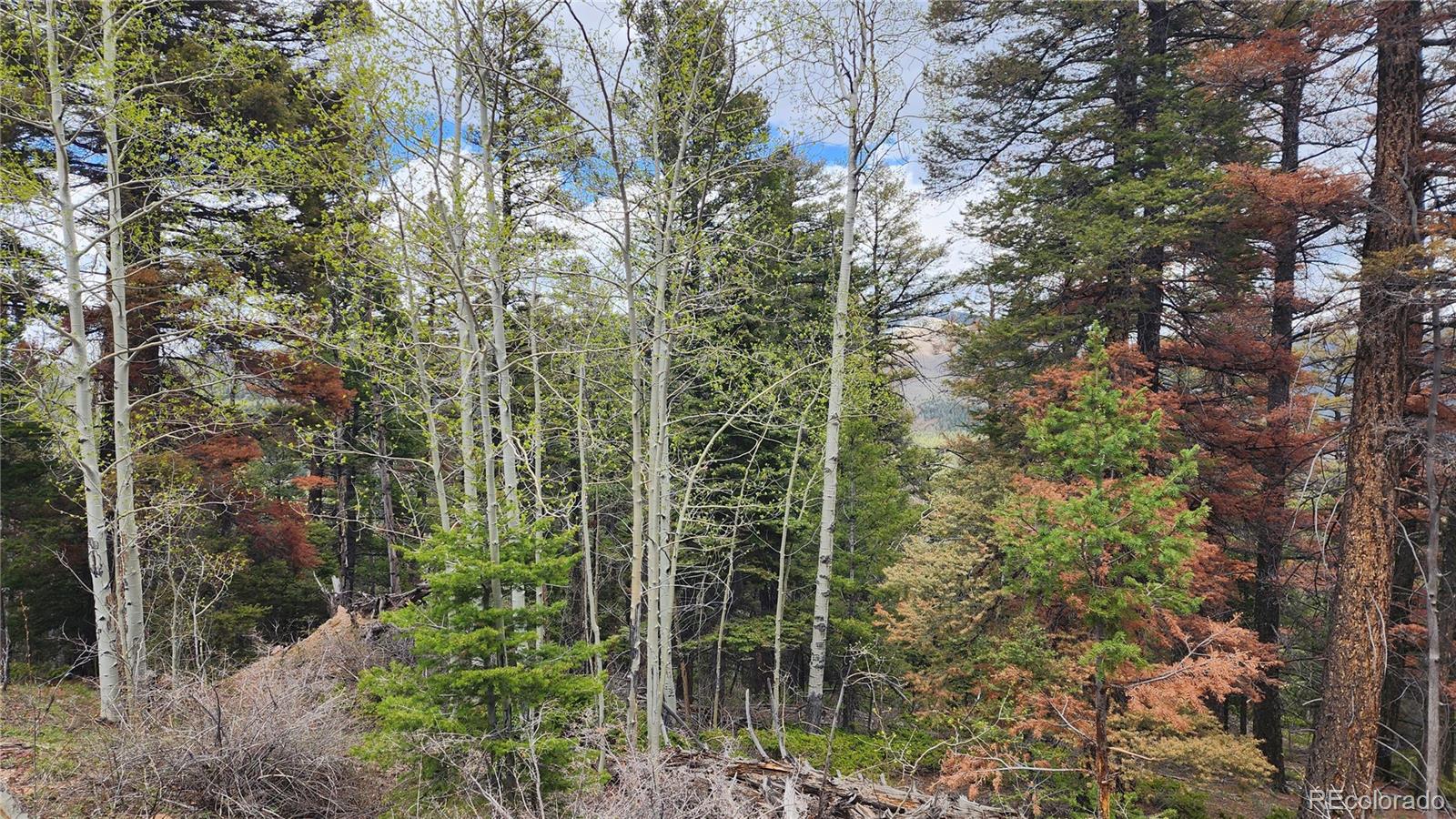 6338 Aragon Road San Luis CO 81152