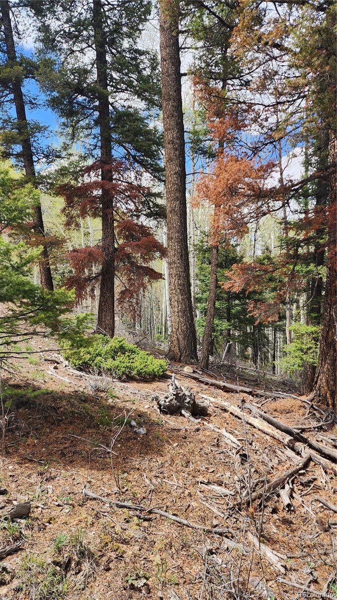 6338 Aragon Road San Luis CO 81152